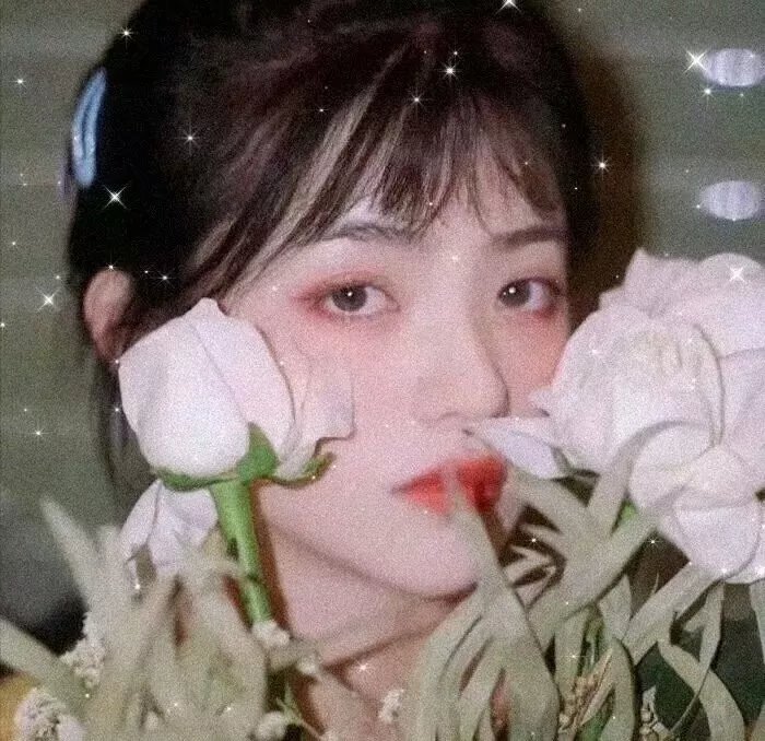 北极征熊记